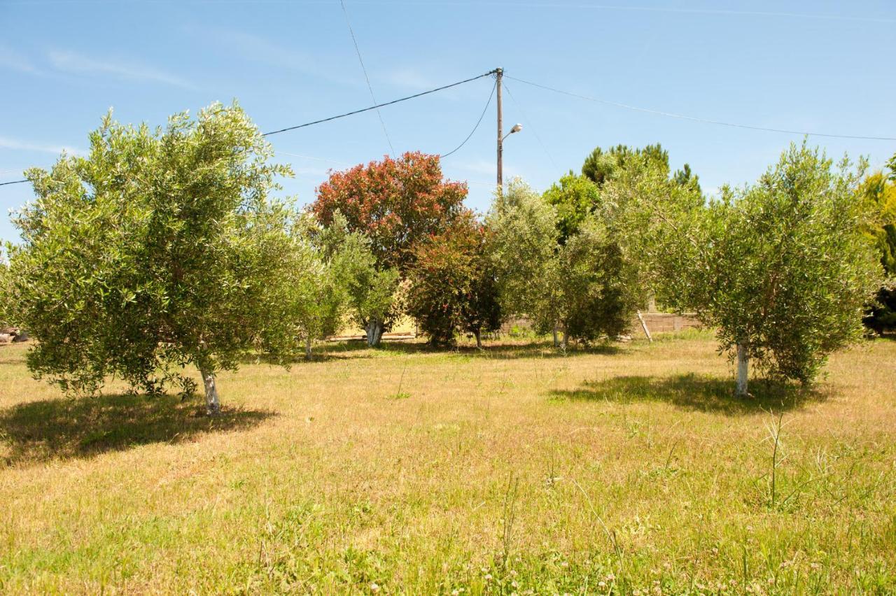 OLIVES Estate APARTMENTS Grande Preveza Exterior foto